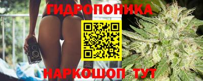 гидра Краснокаменск