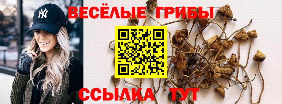 Галлюциногенные грибы Psilocybine cubensis Качканар