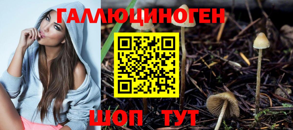 Качканар  Псилоцибиновые грибы GOLDEN TEACHER  Галлюциногенные грибы Cubensis  Вход с VPN 